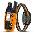 Long Range Dog Training Collar & Remote