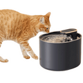 Quiet Pet Water Fountain with Motion Sensor & Night Light