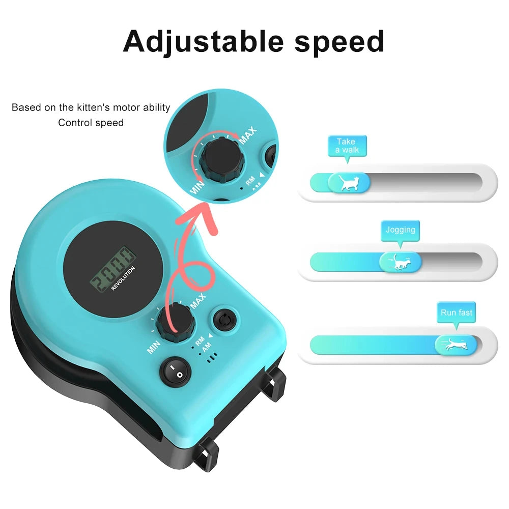 Fun Cat Laser Pointer Toy