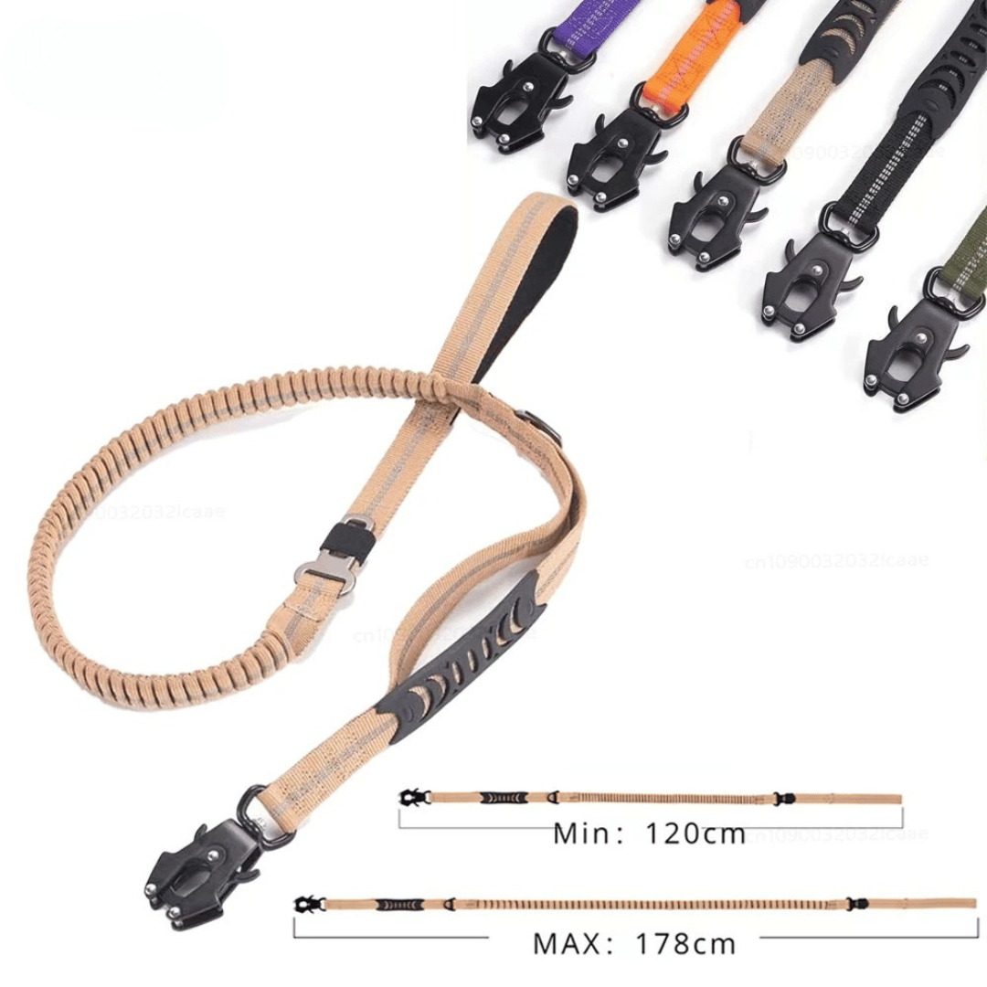 Strong Pet Leash and Seatbelt with Shock Absorbing Strap