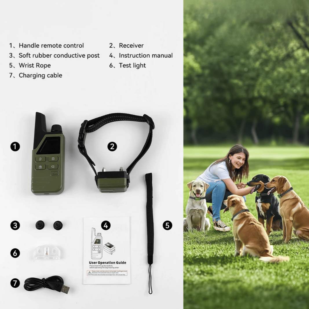Rechargeable Dog Training Collar with LCD Remote Control