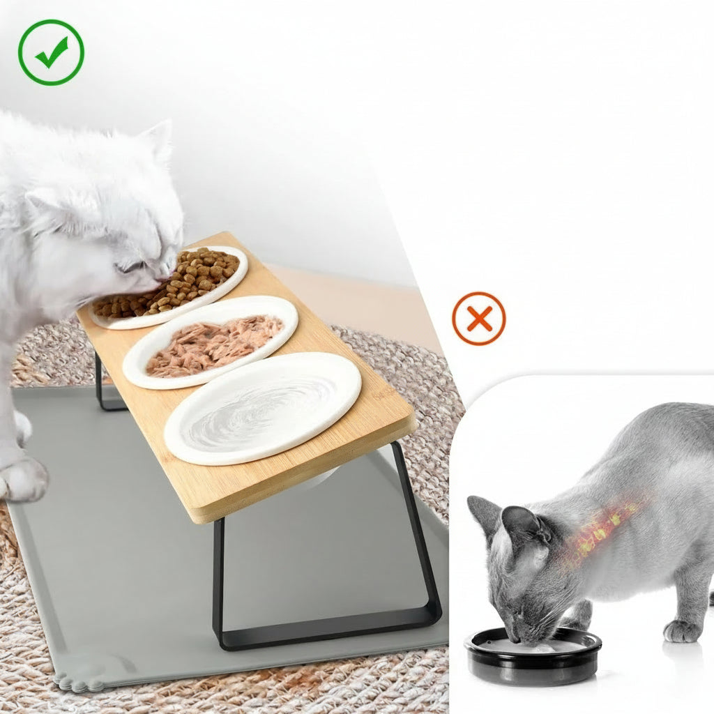 Cat Bowl, Ceramic Cat Food Bowls With 15° Tilted Wood Stand,Raised Cat Bowls for Food and Water, Bamboo Cat Feeding Station with Cat Food Mat for Cats and Puppy (3 Bowls with Stand)