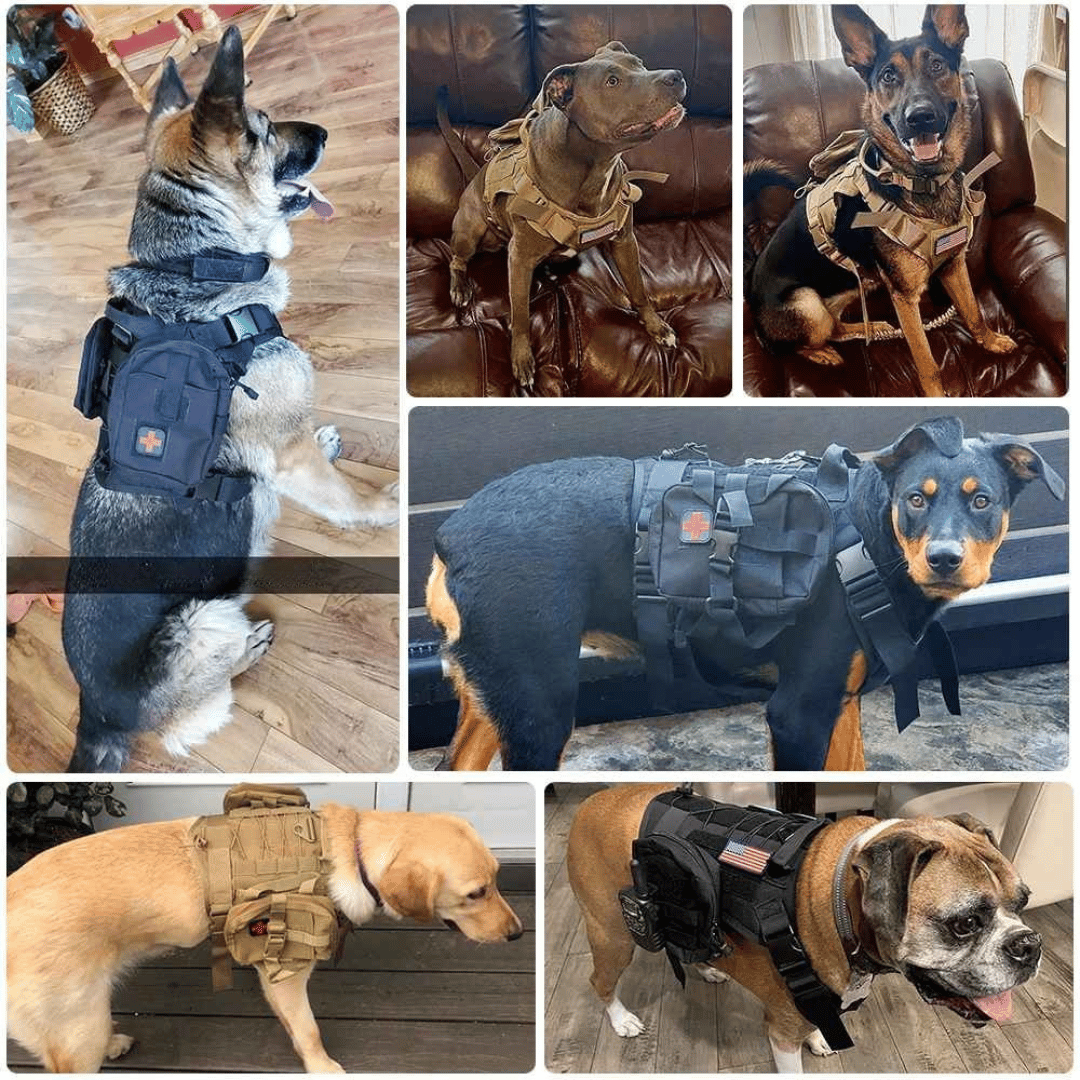 Tough Dog Training Vest with Leash and Pouch Set