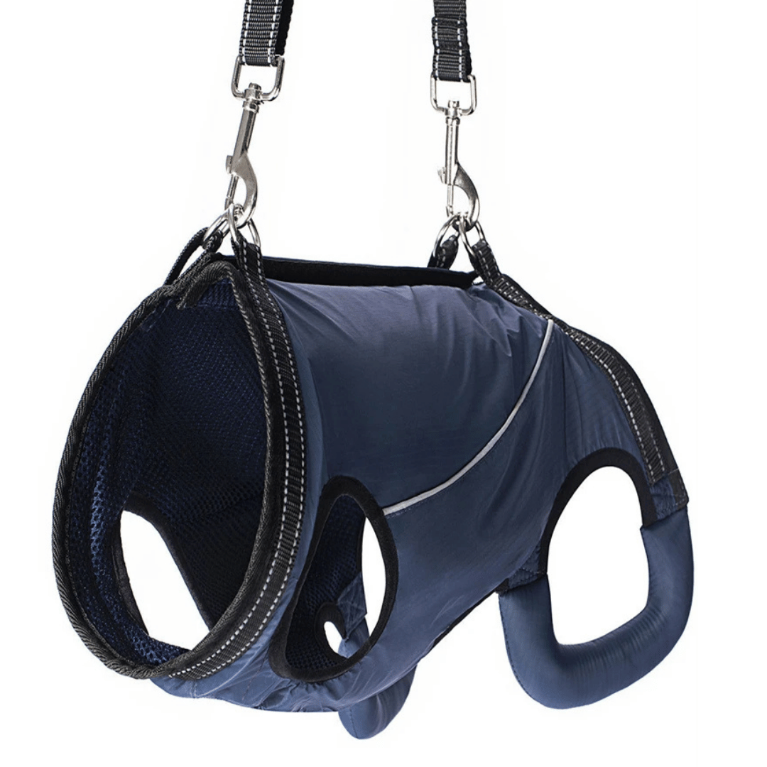 Comfortable Support Harness for Senior Dogs