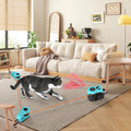 Fun Cat Laser Pointer Toy
