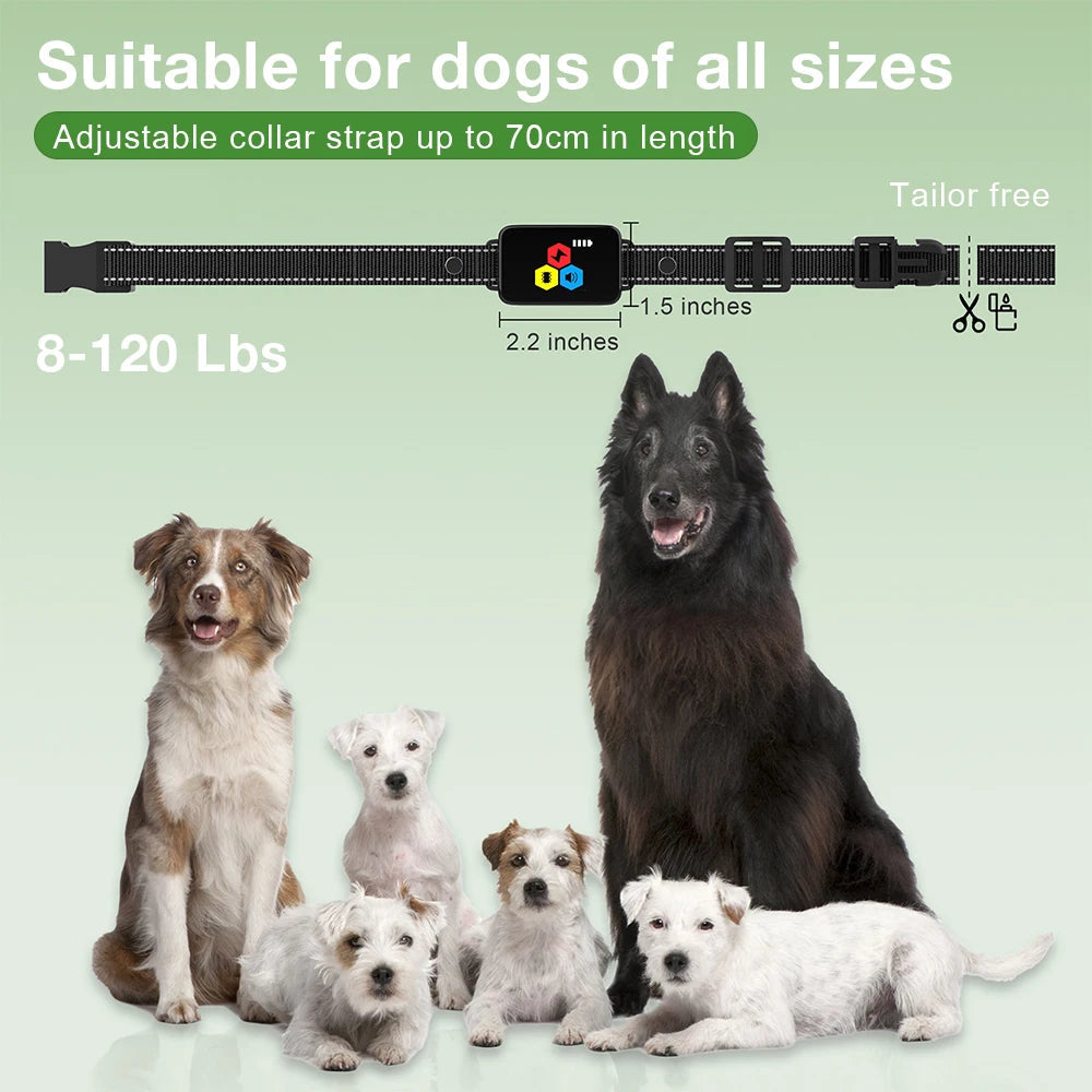 Remote Control Pet Training Collar