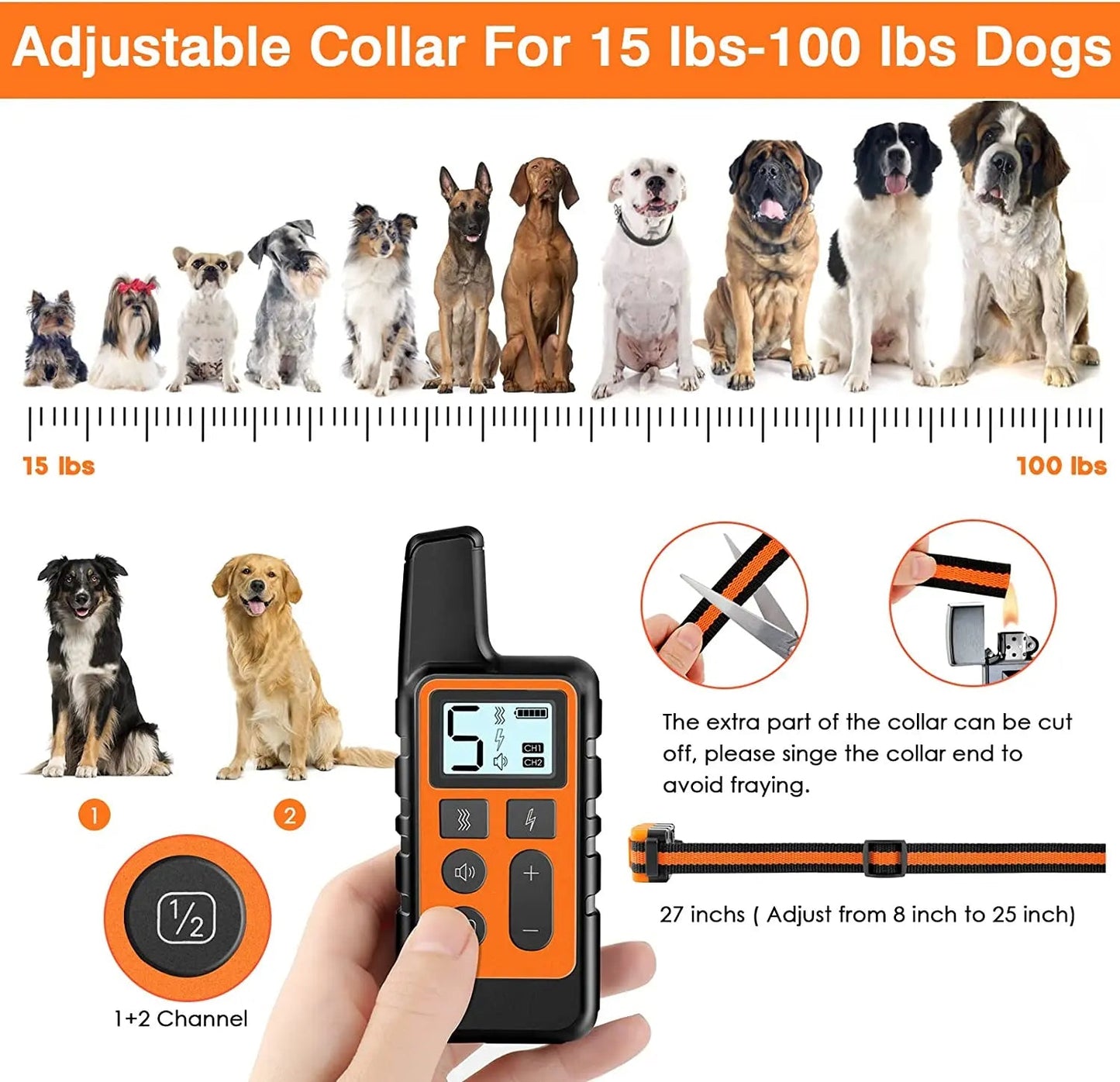Advanced Dog Training Collar Set with Remote Control