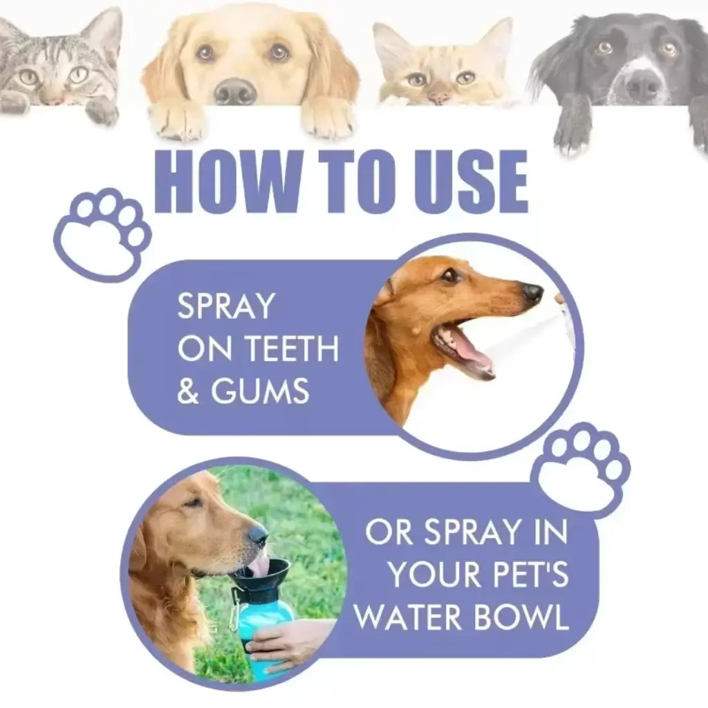 Dog Fresh Breath Spray