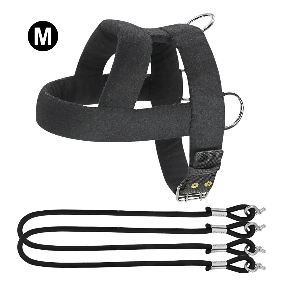 Tough Dog Pulling Harness with Padded Support