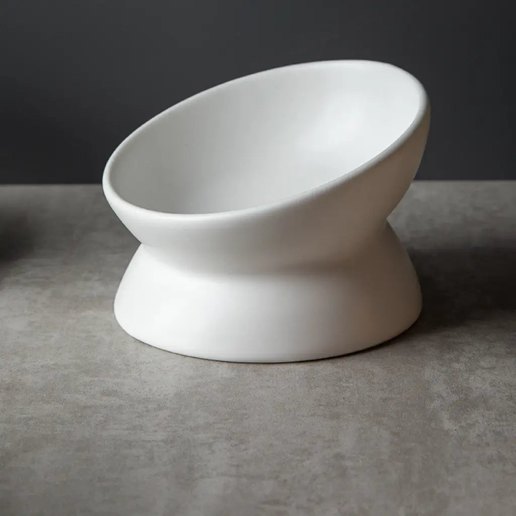 Elevated Tilted Ceramic Pet Bowl with Matte Finish 2