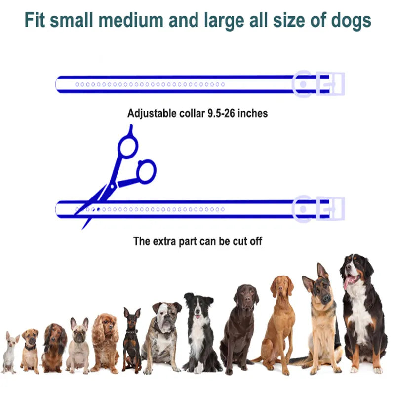 Wireless Remote Dog Training Collar 1000m Range