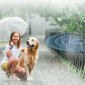 Effective Dog Bark Control Ultrasonic Stopper Device