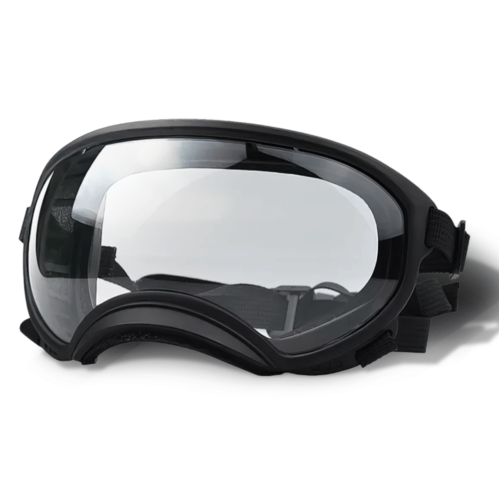 Trendy Pet Shades | Waterproof Dog Sun Glasses