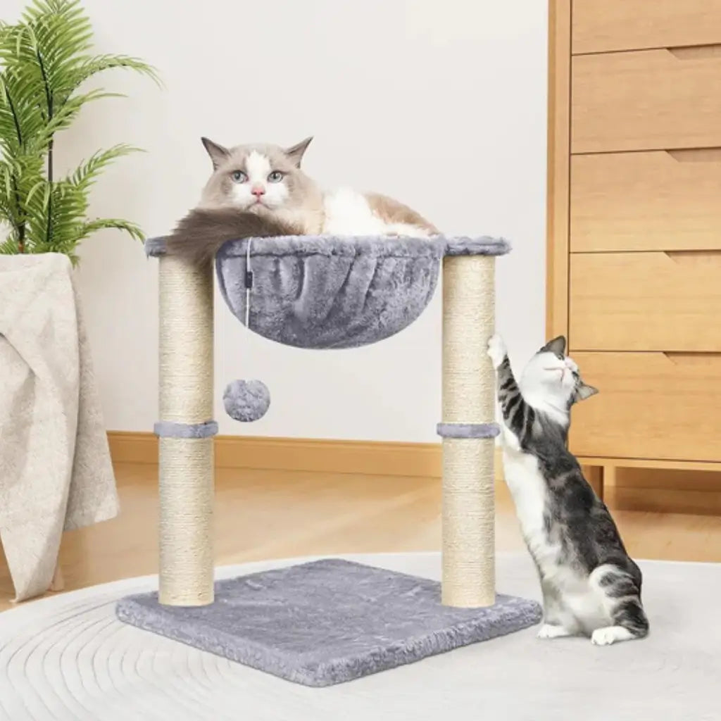Two cats on a multi-level cat tree with a plant and wooden furniture in the background