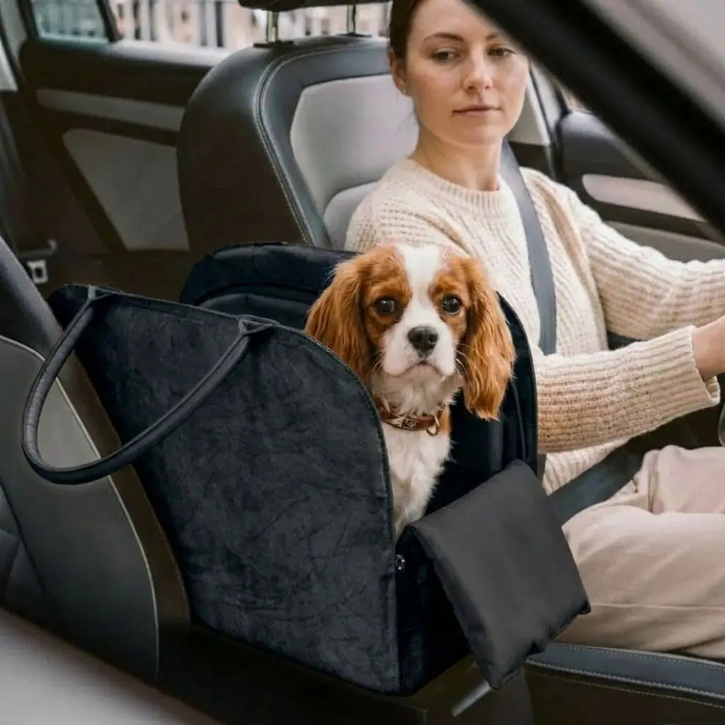Woman driving a car with a dog in a pet seat cover