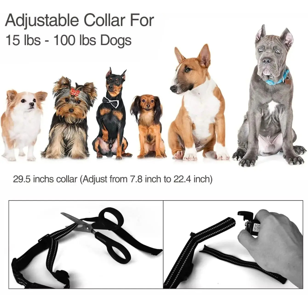 Rechargeable Dog Training Collar & Bark Control Device
