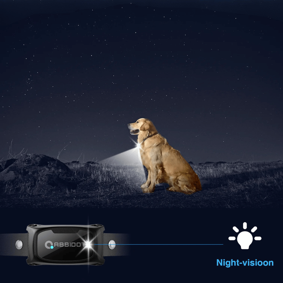 Effective Long Distance Dog Training Collar & Remote