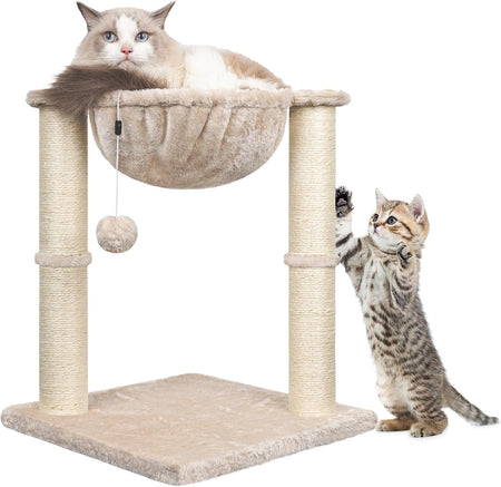 Cat Trees and Scratchers