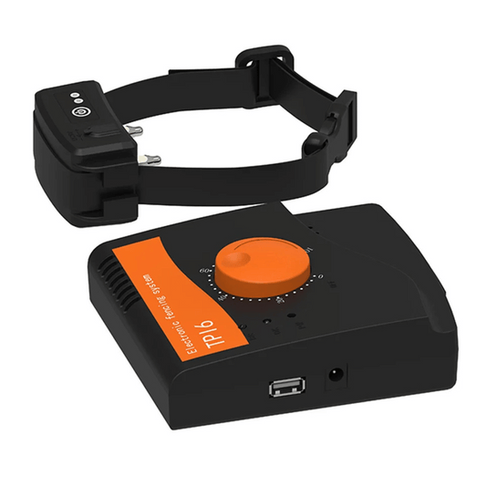 Large Pet Enclosure System with Wireless Transmitter & Cable - LifyPet