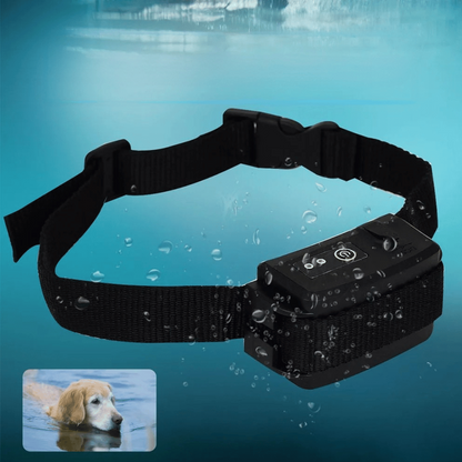 Large Pet Enclosure System with Wireless Transmitter & Cable