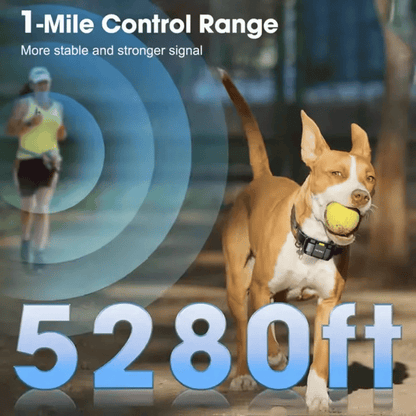 Long Range Remote Trainer Collar for Large Dogs