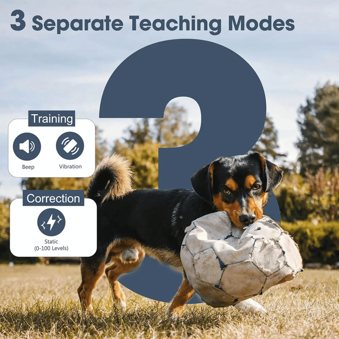 Long Range Remote Trainer Collar for Large Dogs