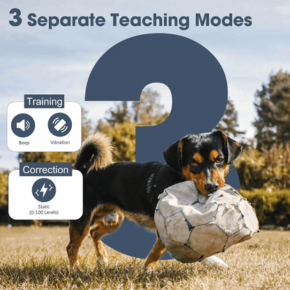 Long Range Remote Trainer Collar for Large Dogs