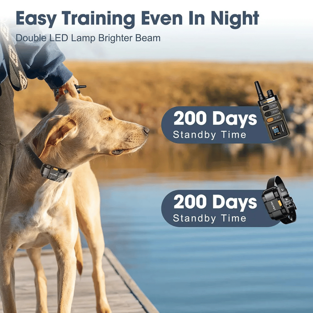 Long Range Remote Trainer Collar for Large Dogs