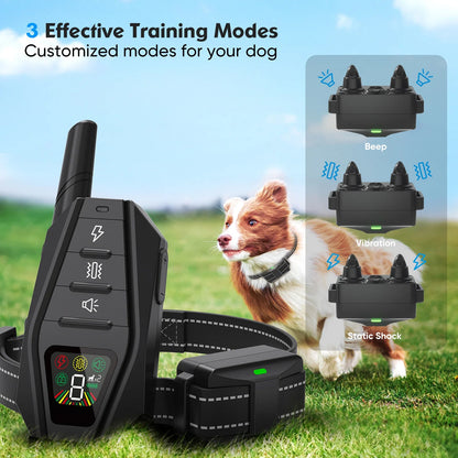 Rechargeable Dog Training Collar & Remote Control