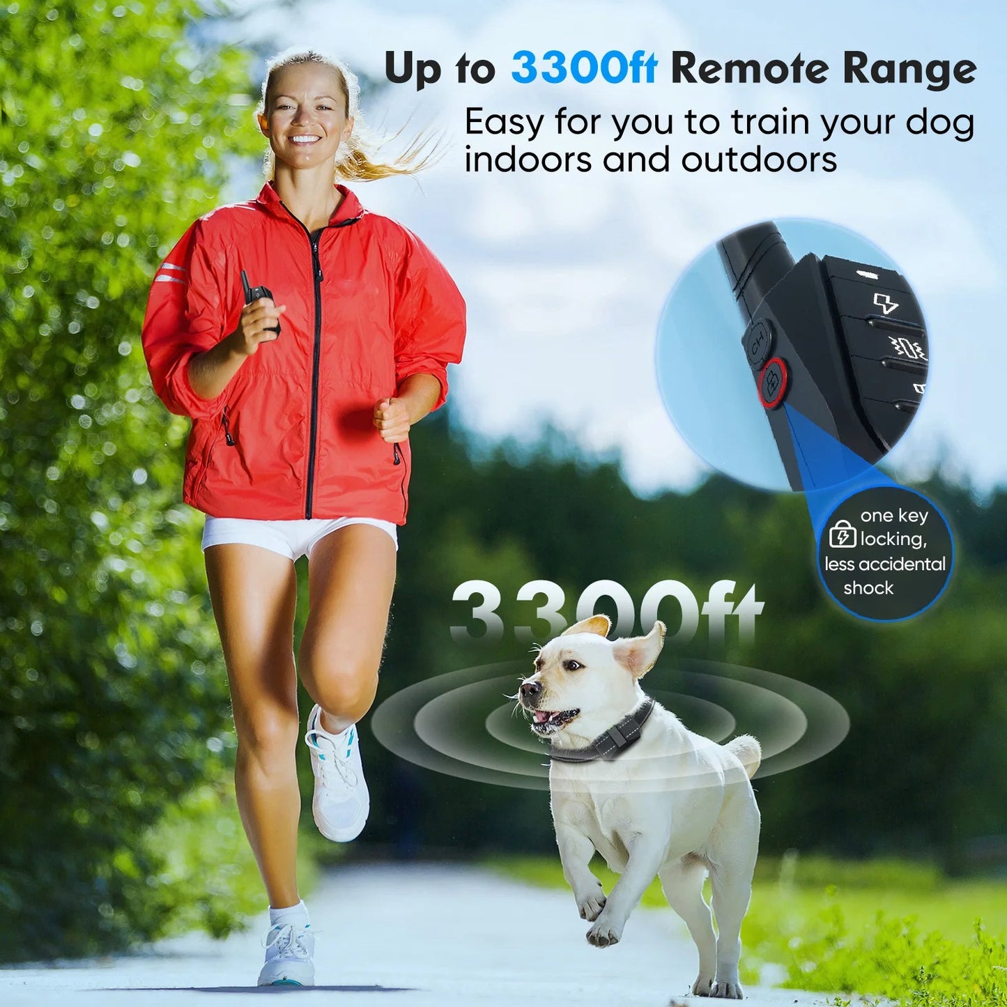 Rechargeable Dog Training Collar & Remote Control