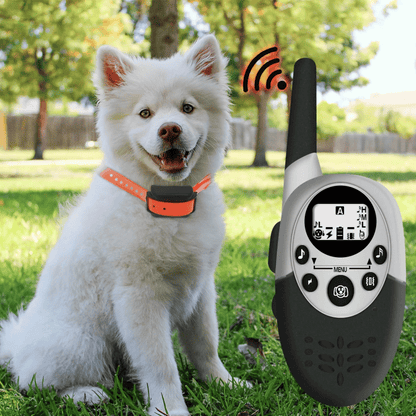 Long Range Waterproof Dog Training Collar Set
