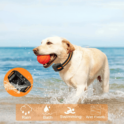 Long Range Dog Training Collar & Remote