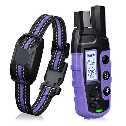 Long Range Dog Training Collar & Remote
