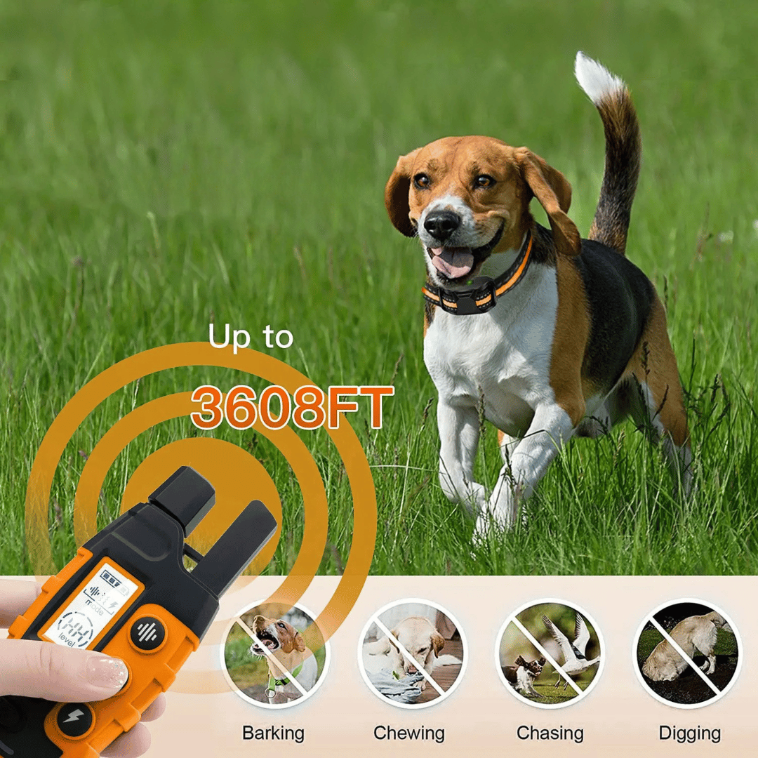 Long Range Dog Training Collar & Remote