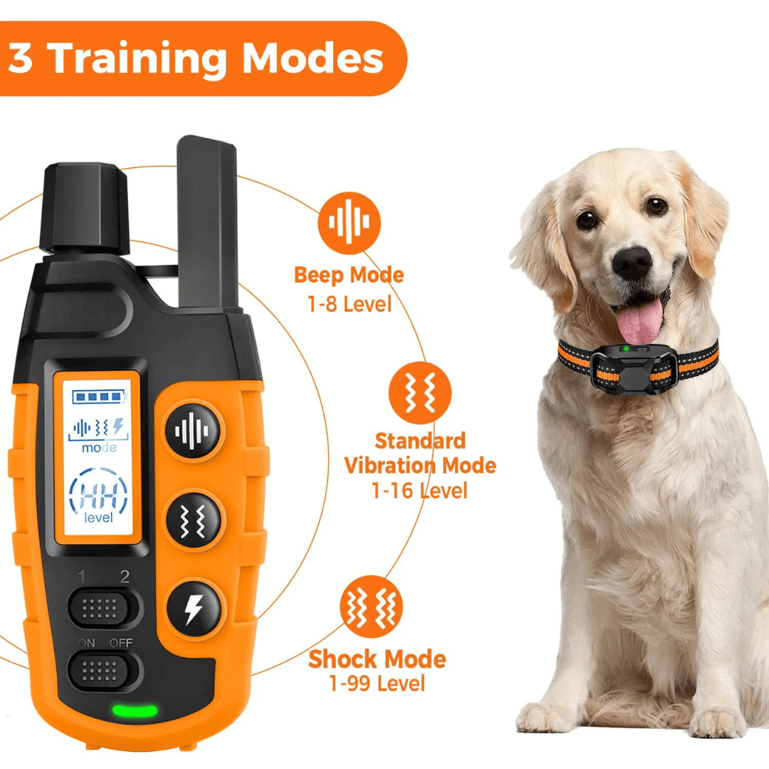 Long Range Dog Training Collar & Remote