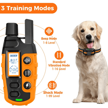 Long Range Dog Training Collar & Remote