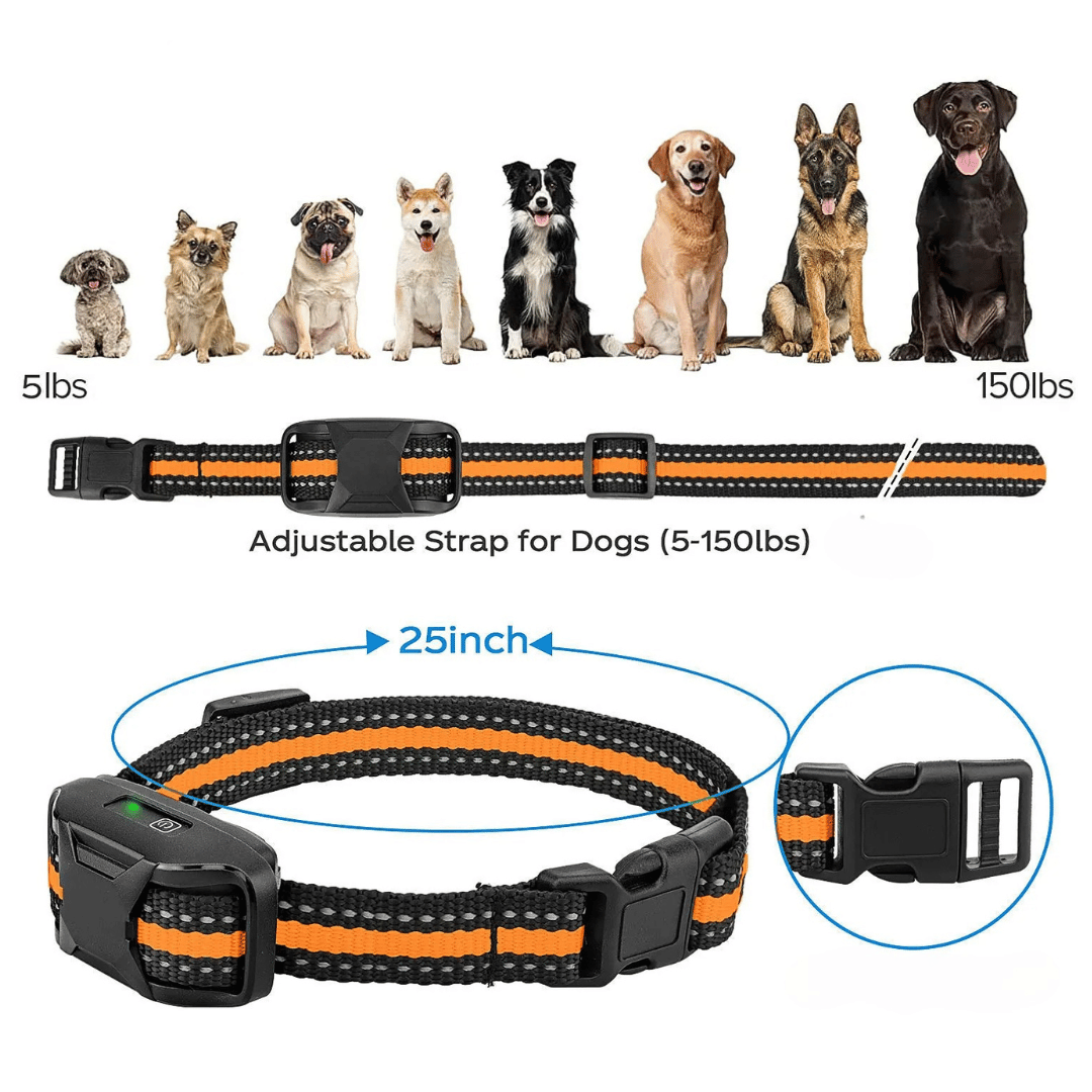 Long Range Dog Training Collar & Remote