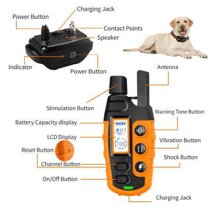 Long Range Dog Training Collar & Remote