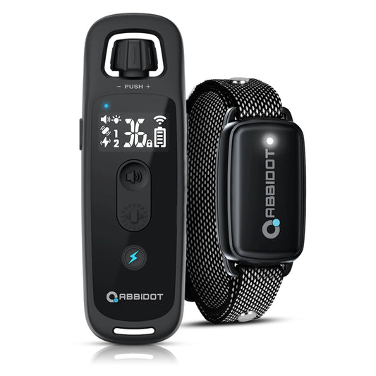 Long Range Dog Trainer Collar with Remote Controller - LifyPet