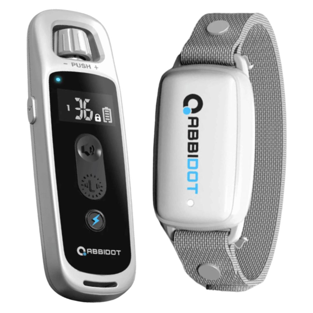Long Range Dog Trainer Collar with Remote Controller