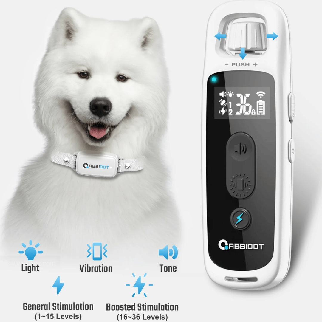 Long Range Dog Trainer Collar with Remote Controller