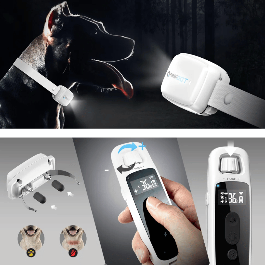 Long Range Dog Trainer Collar with Remote Controller