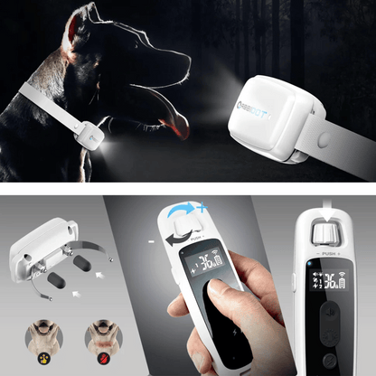 Long Range Dog Trainer Collar with Remote Controller
