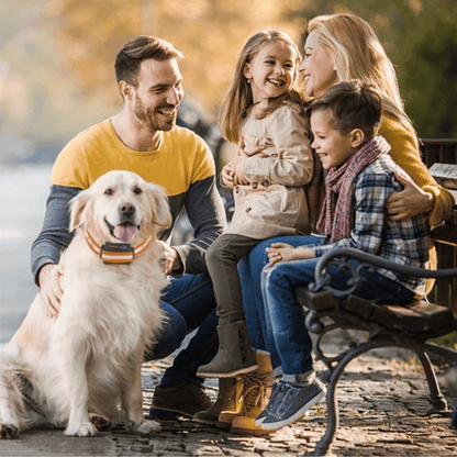Waterproof Dog Training Collar with Adjustable Strap