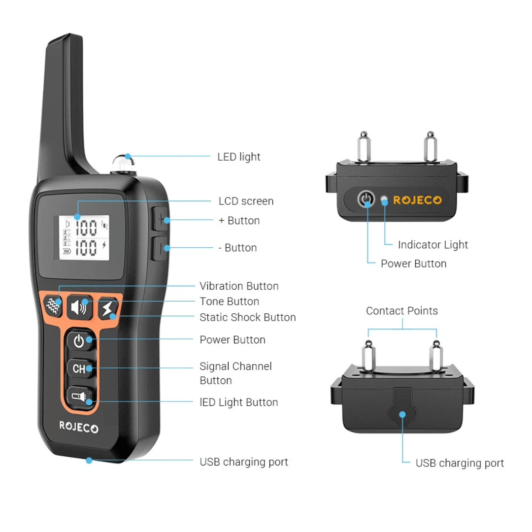 Waterproof Dog Training Collar with Adjustable Strap