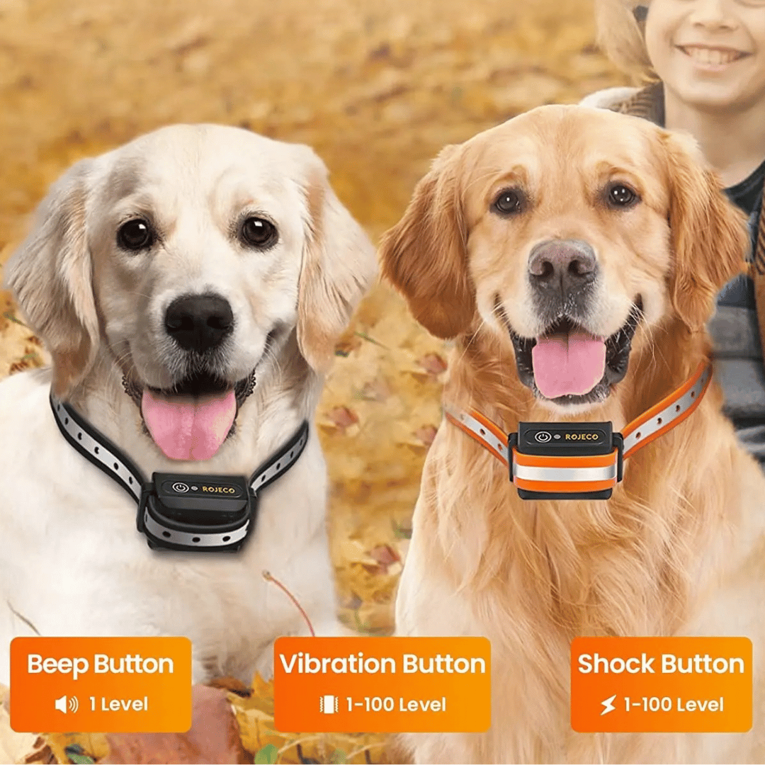 Waterproof Dog Training Collar with Adjustable Strap