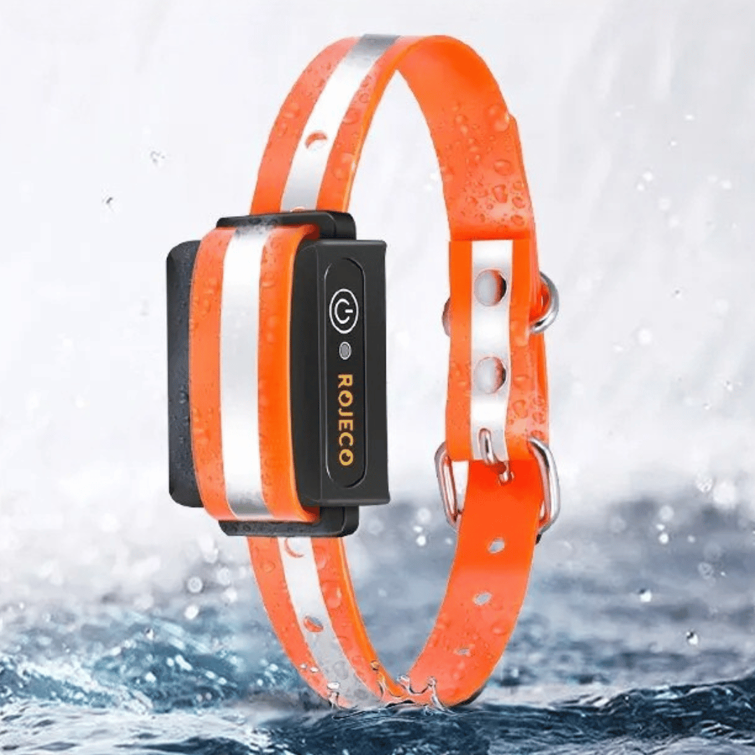 Waterproof Dog Training Collar with Adjustable Strap