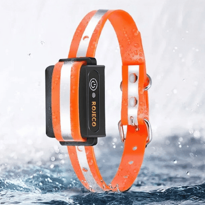 Waterproof Dog Training Collar with Adjustable Strap