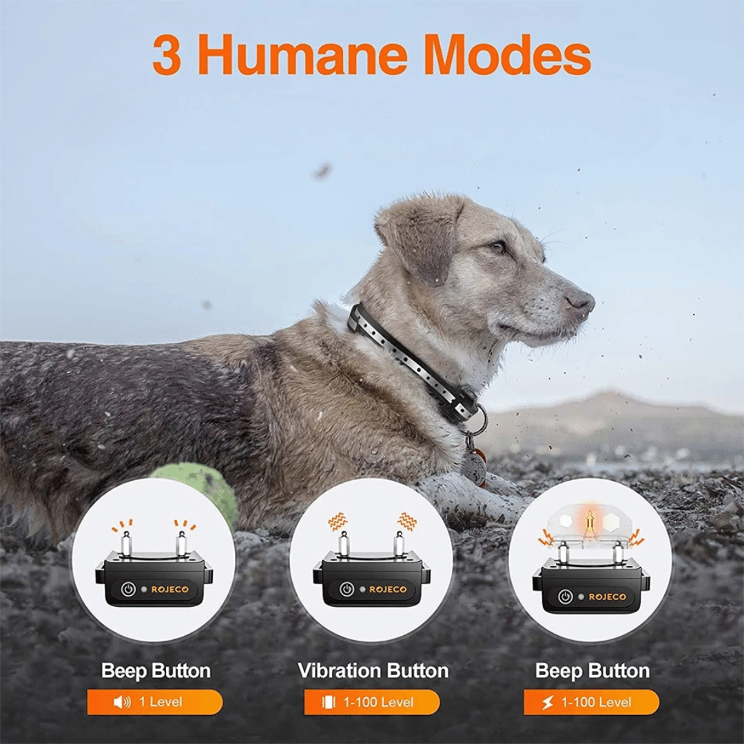 Waterproof Dog Training Collar with Adjustable Strap