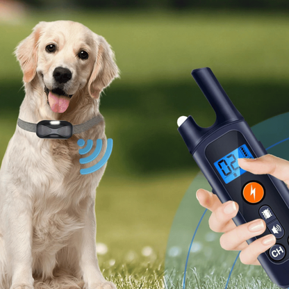 Rechargeable Dog Training Collar & Easy Remote Control